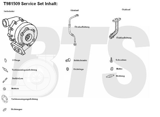 BTS TURBO Компрессор, наддув T981509